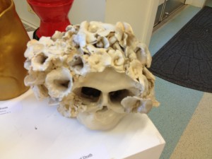 Oh thank goodness, more skulls. After the last picture, I'm now okay with them...